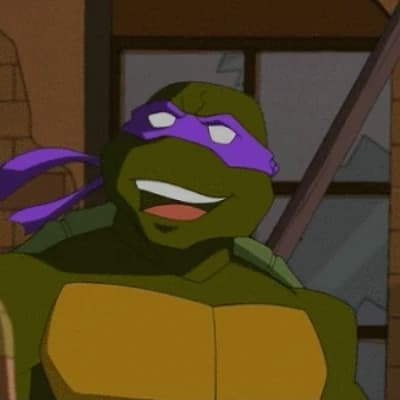 Donatello Hamato 2003 thumbnail