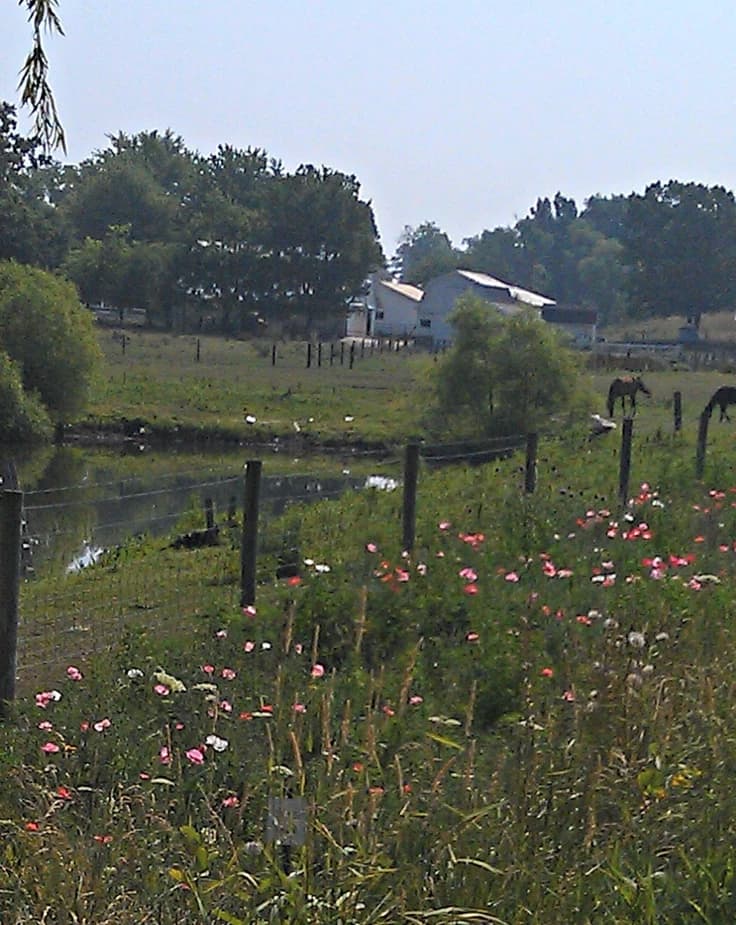 The country side in 1960s thumbnail