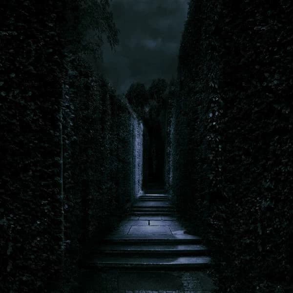 MAZE RUNNER thumbnail