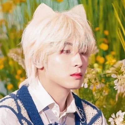 Wonwoo thumbnail