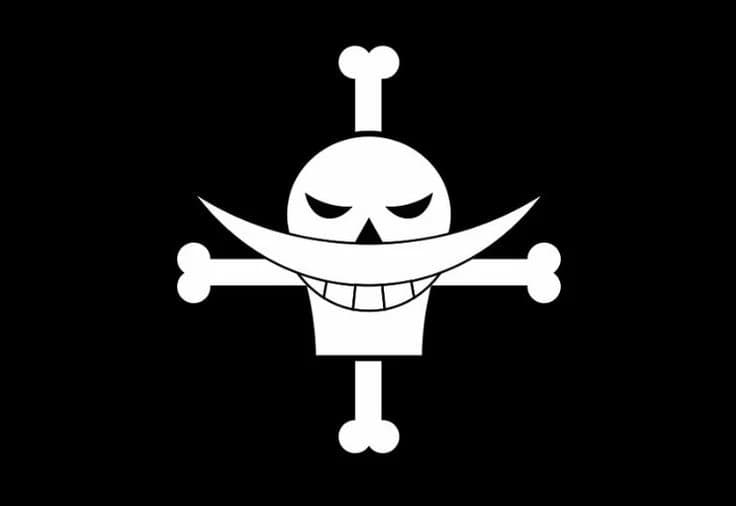 ~☆||WHITEBEARD PIRATES||☆~ thumbnail
