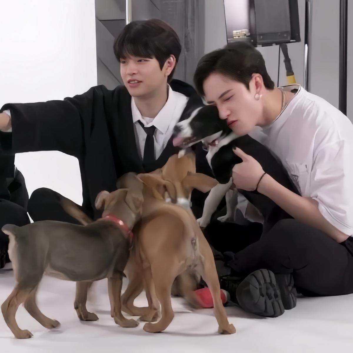 Bangchan - Chanmin BL thumbnail