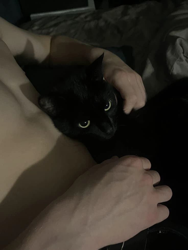 Simón thumbnail