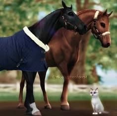 Equine centre  thumbnail
