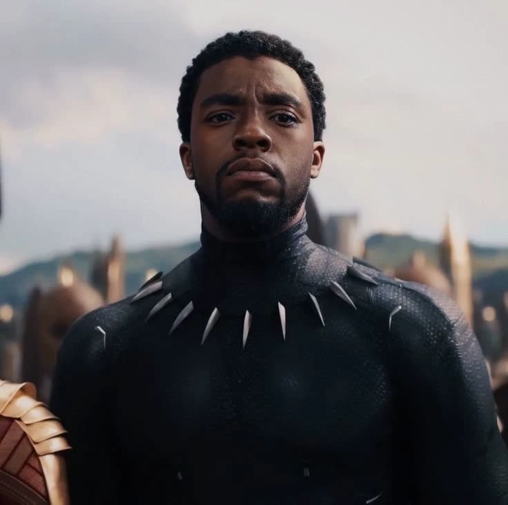 T'challa - Black Panter thumbnail