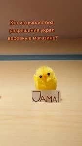 A chick named Jamal thumbnail