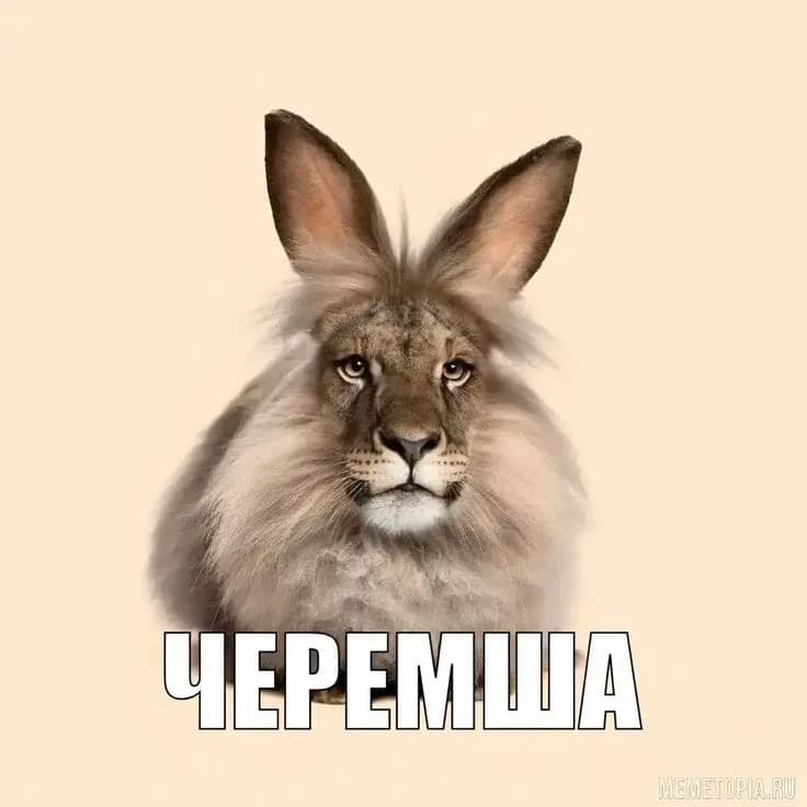 Черемша СССР thumbnail