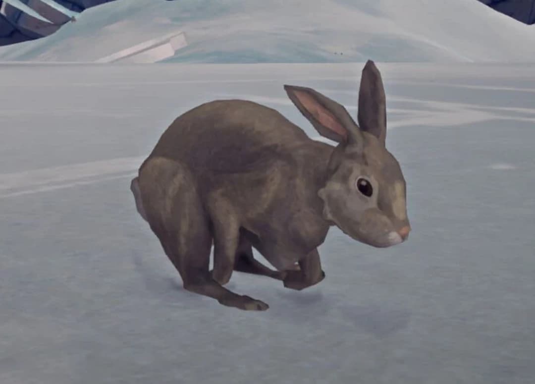 Rabbit thumbnail
