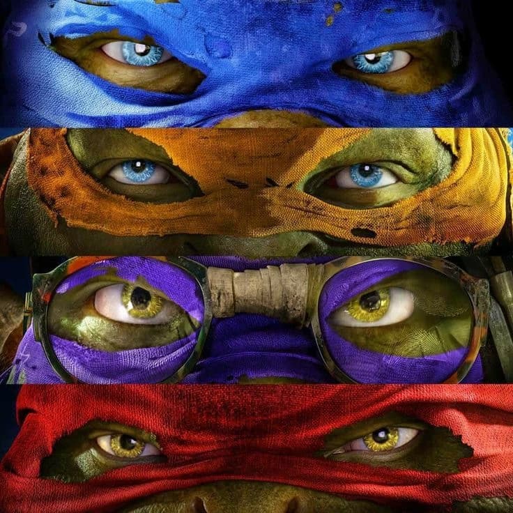 🐢 | Turtles ninjas  thumbnail