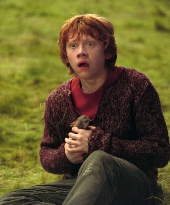 Ron weasley  thumbnail