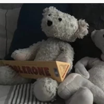 chill bear alpha thumbnail