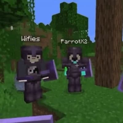 Parrotx2 & Wifies thumbnail