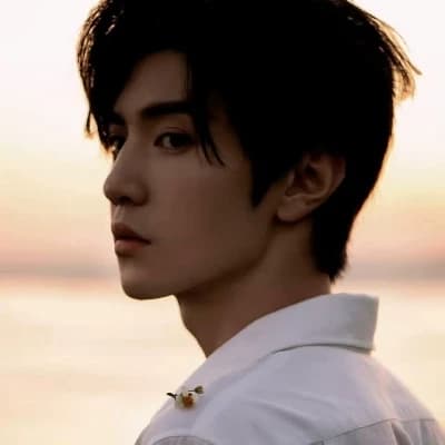 Chen Zheyuan profe  thumbnail