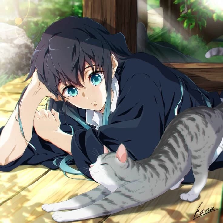 Tokitou Muichirou  thumbnail