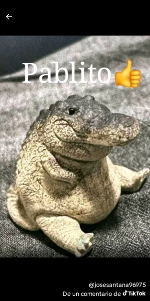 Pablito the crocodile thumbnail