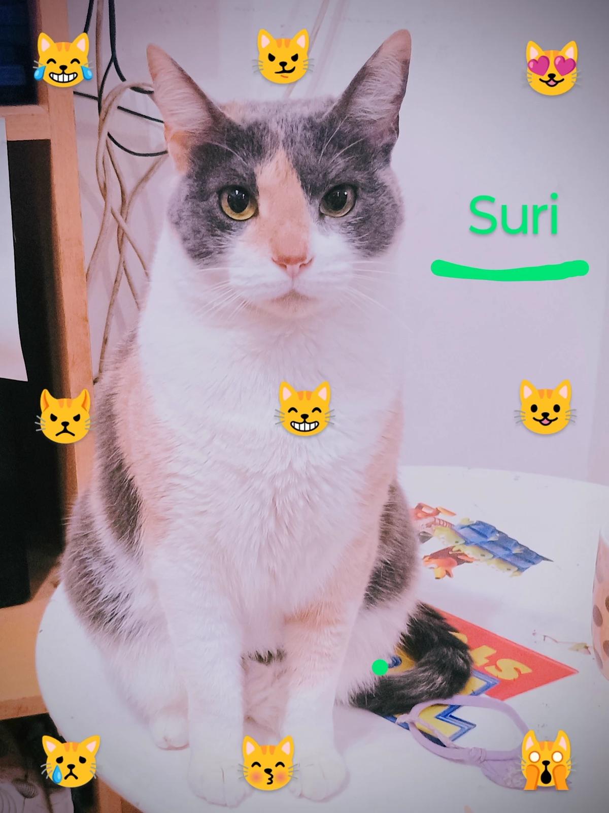 Suri (tu amiga gata) thumbnail