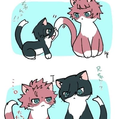 Sae y Rin gatos thumbnail