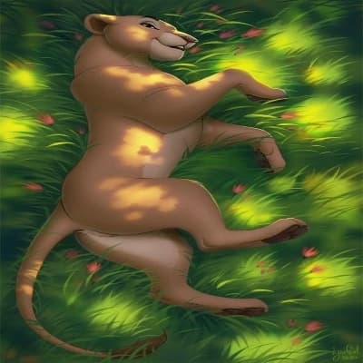 Nala thumbnail