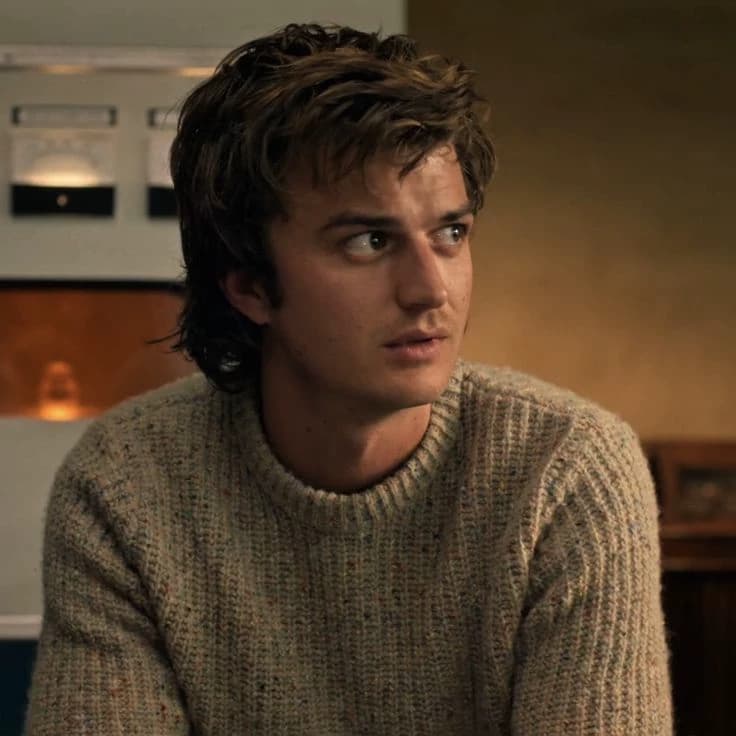 Steve Harrington thumbnail