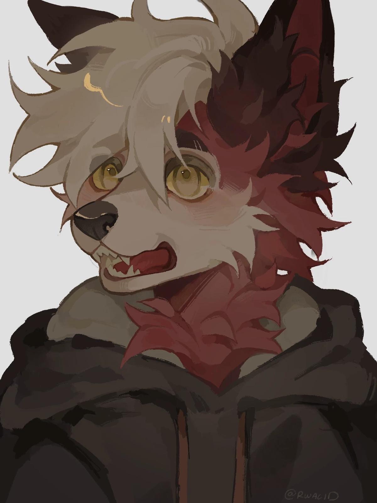 Milo Vulpi - Clumsy, wholesome Foxboy (Furry) thumbnail