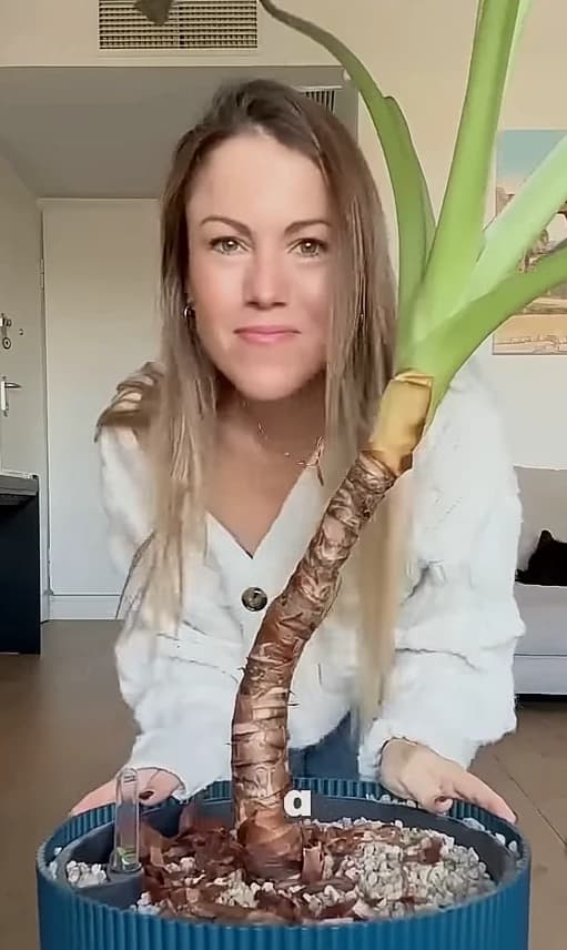 Serena MILF thumbnail