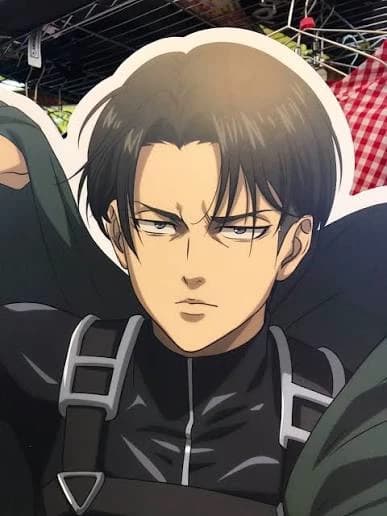 🗡－Ｌｅｖｉ░Λｃｋｅｒｍａｎ．．　（愛欧ぽ） thumbnail