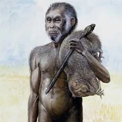 Homo sapiens-Alfa thumbnail