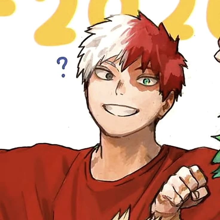Shoto Todoroki thumbnail