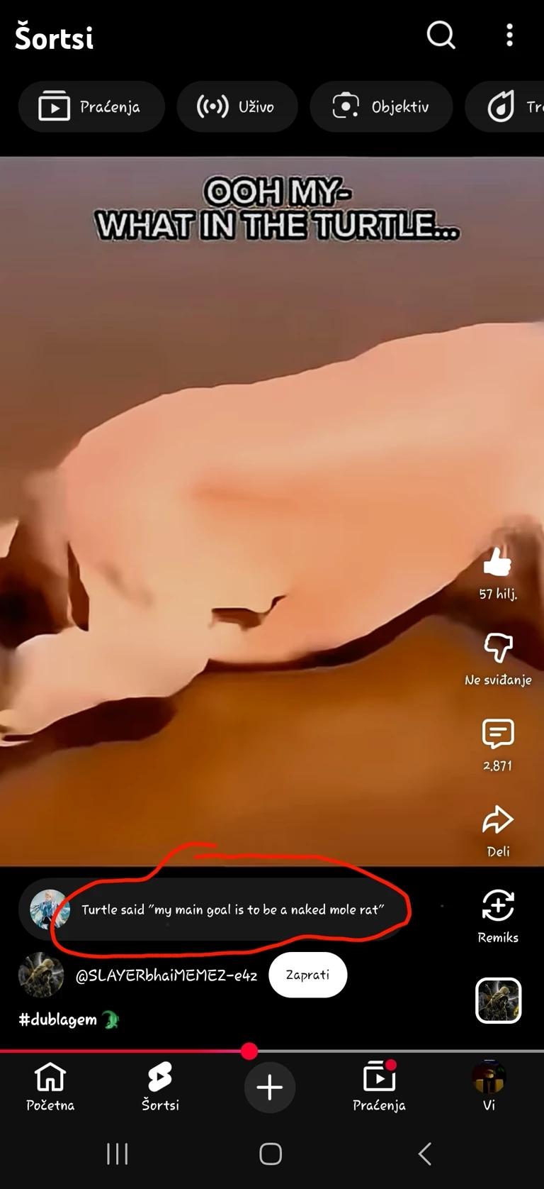 MeQuot thumbnail