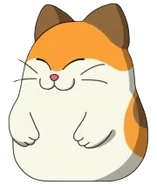 Nago thumbnail