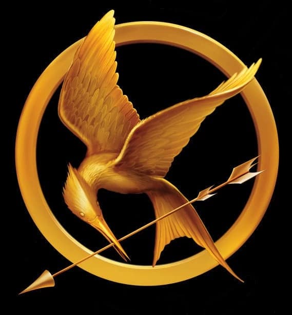 75th Hunger Games thumbnail