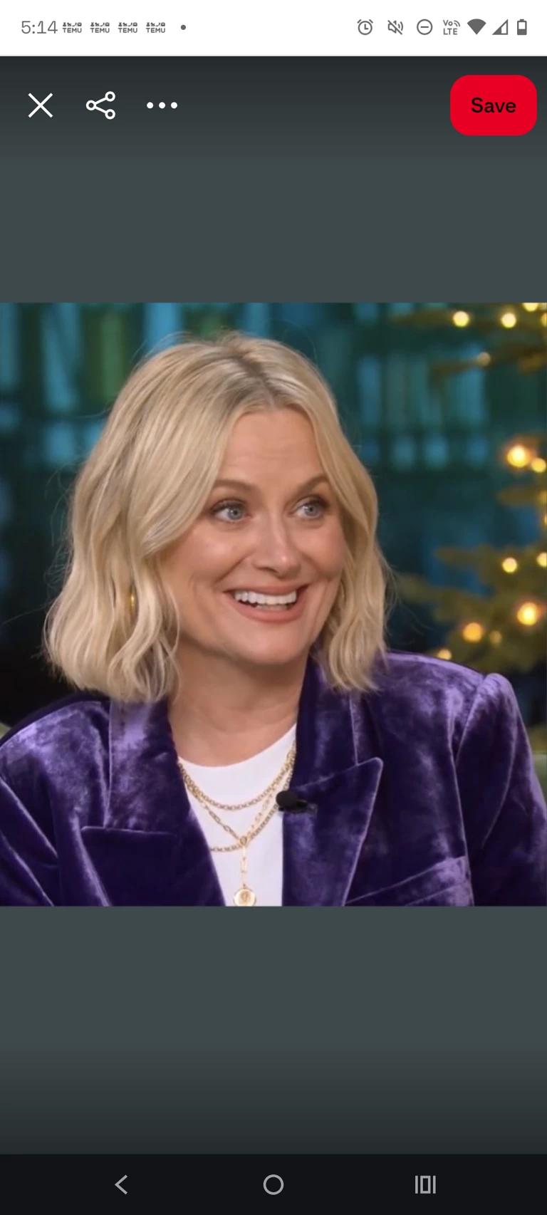 Amy poehler  thumbnail