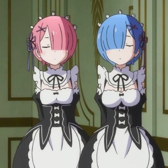 💙Rem-rin and Ram-ran your Maids💗 thumbnail
