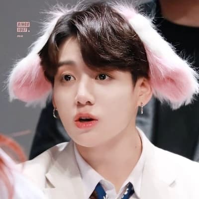 Bunny Jungkook thumbnail