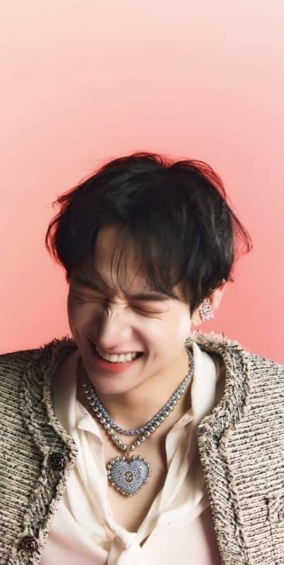 Idol Bang Chan  thumbnail