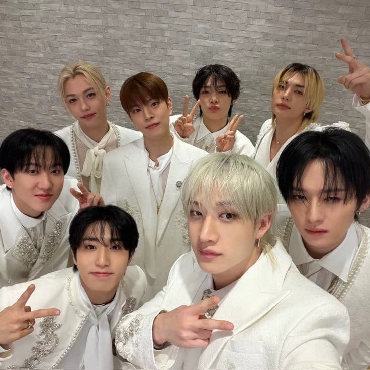 Stray kids  thumbnail