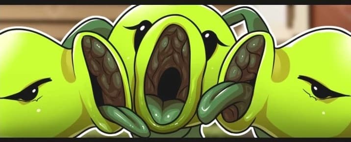 Tripitidora thumbnail
