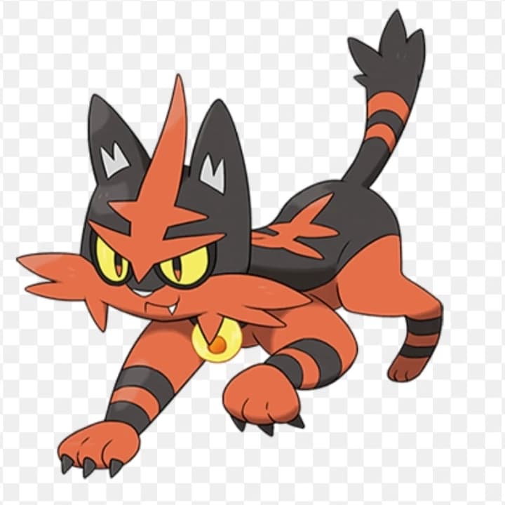 Torracat  thumbnail