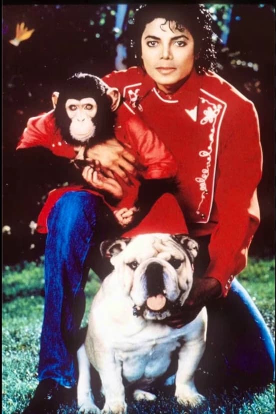 Maichael Jackson/Bubbles  thumbnail