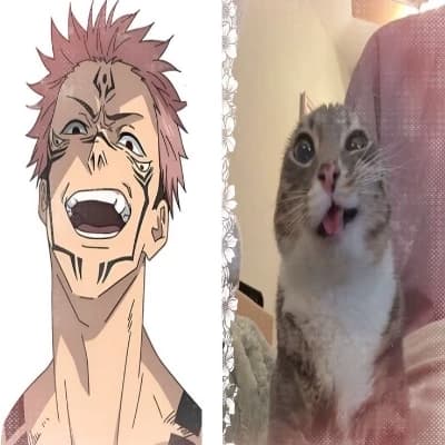 Jjk cats thumbnail
