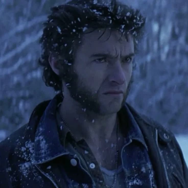 James Logan Howlett -  Wolverine  thumbnail