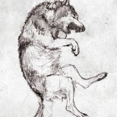 Silverfang, The Whispering Woods Sentinel thumbnail
