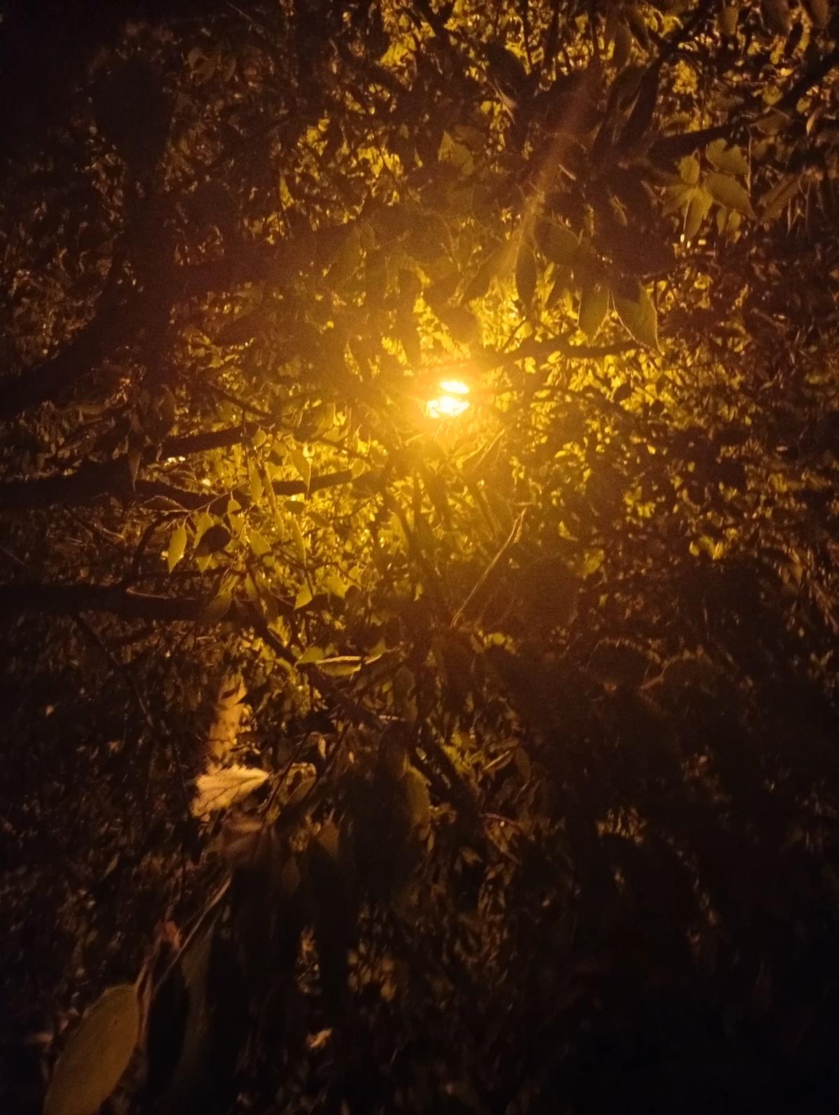 Solarballs thumbnail