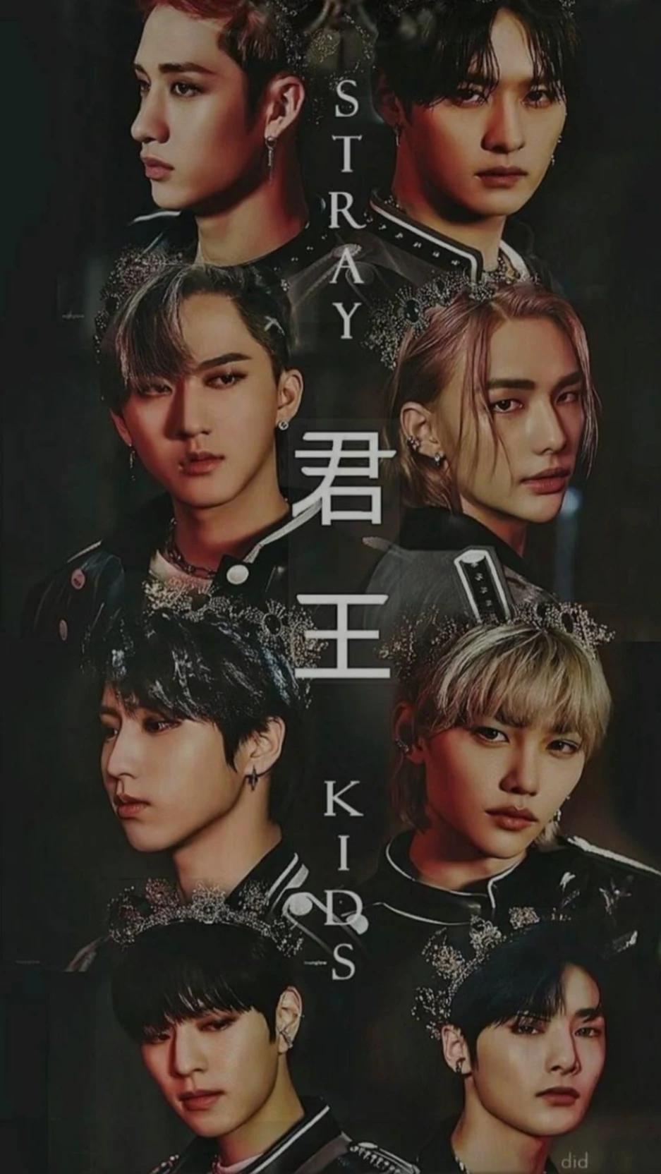 Stray kids  thumbnail