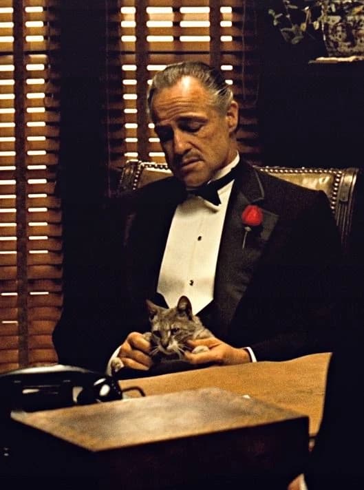 Vitor corleone  thumbnail