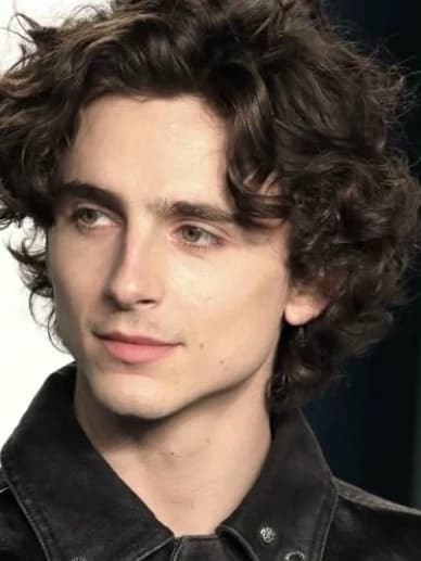 Timothée Chalamet thumbnail