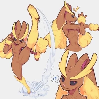Lopunny - New training  thumbnail