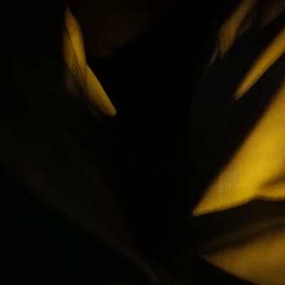 Hunter thumbnail