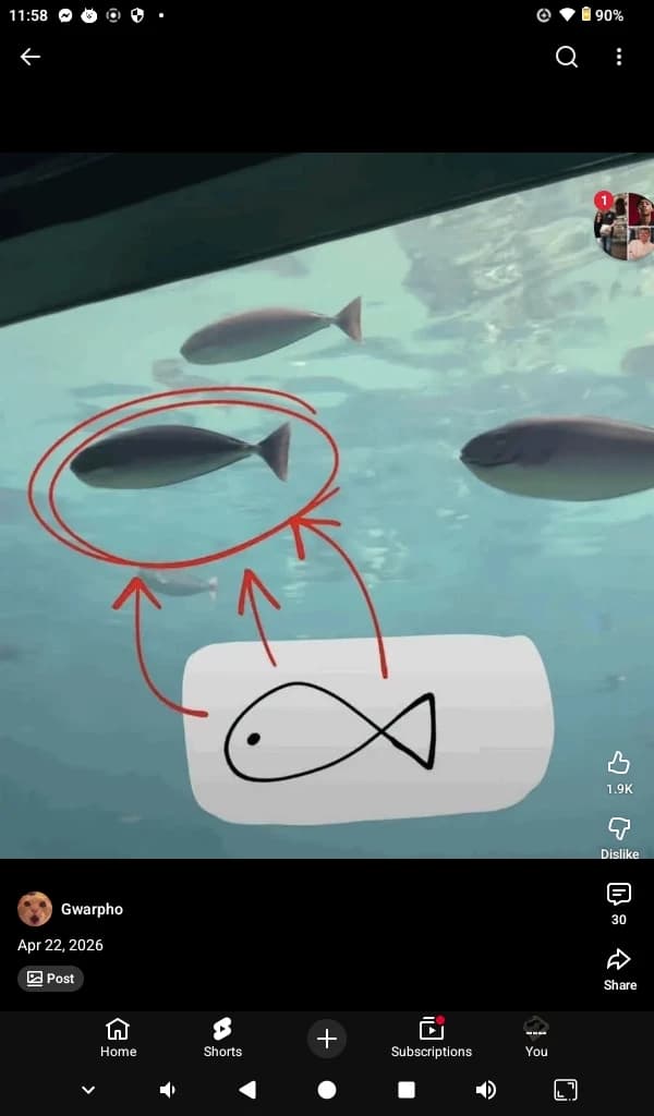 Fish thumbnail