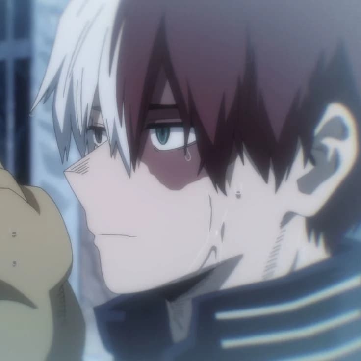 Shoto Todoroki thumbnail